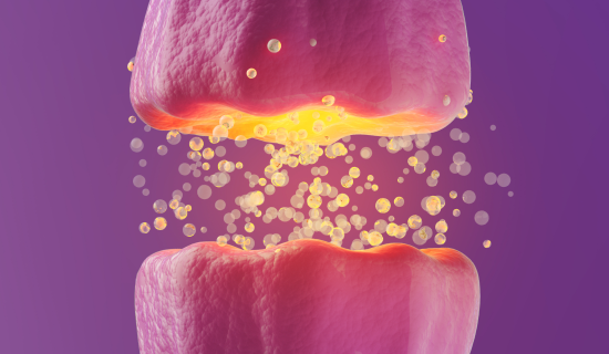 Rendering of synaptic cleft between two neurons