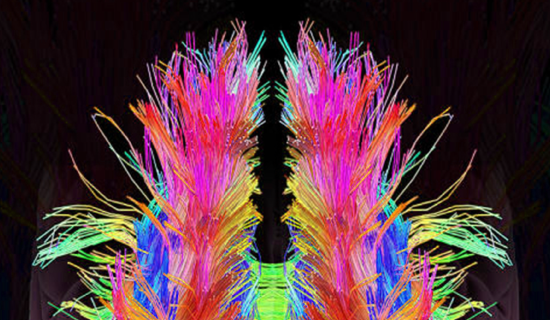 Artistic visualization of the nervous system in the brain